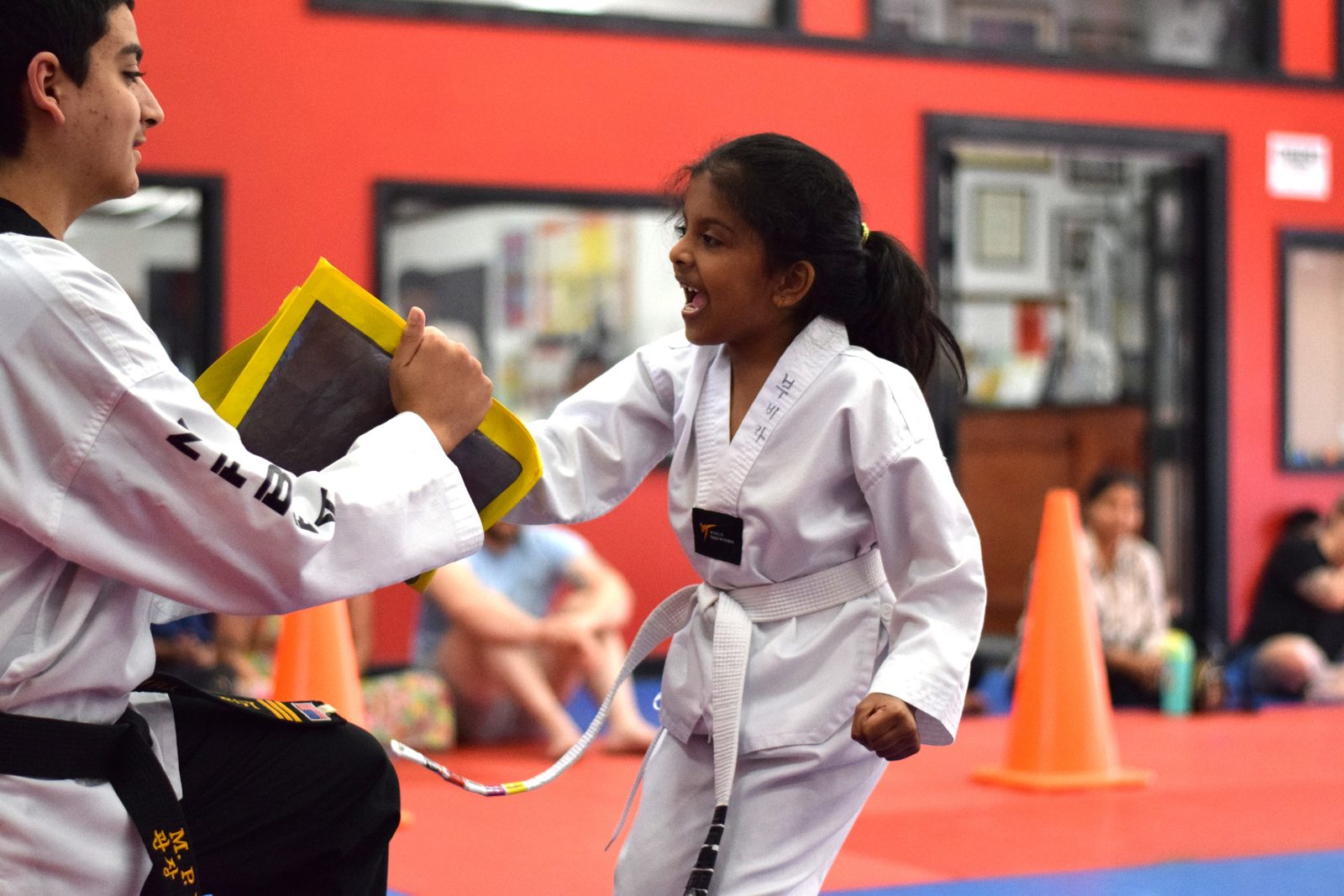 Young student breaking a board with excitement